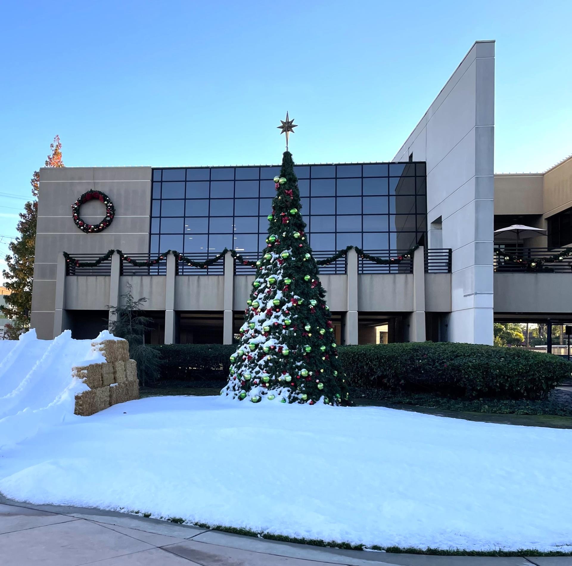 Snowy City Hall